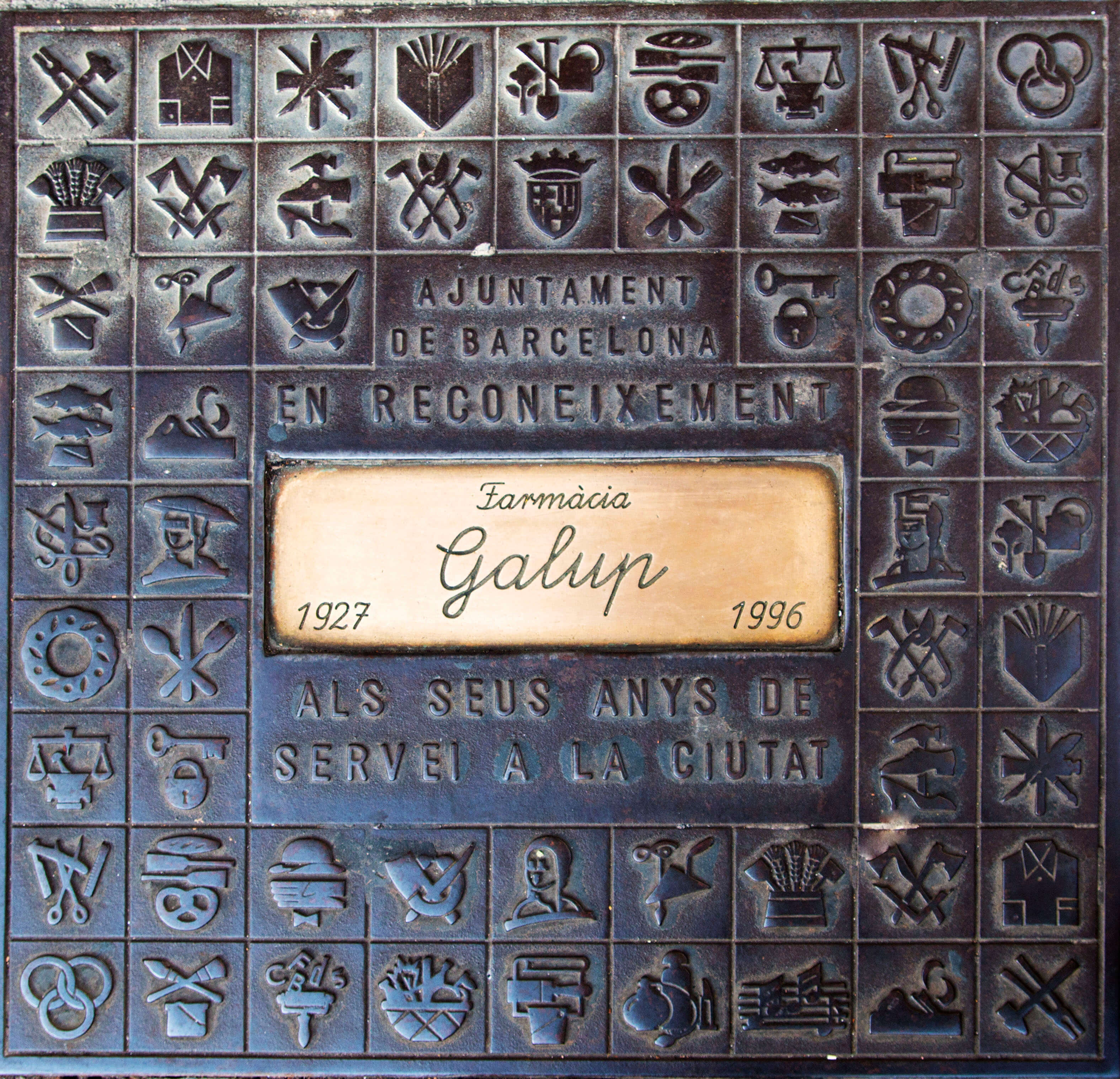 IMG_3901-placa-terra