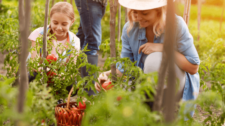 Qué comer en primavera para aumentar el bienestar