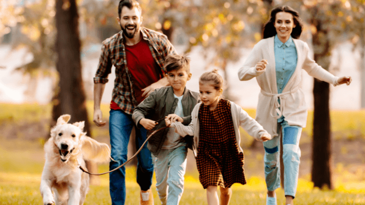 Otoño: Combate sus principales enfermedades